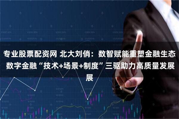 专业股票配资网 北大刘俏：数智赋能重塑金融生态 数字金融“技术+场景+制度”三驱助力高质量发展