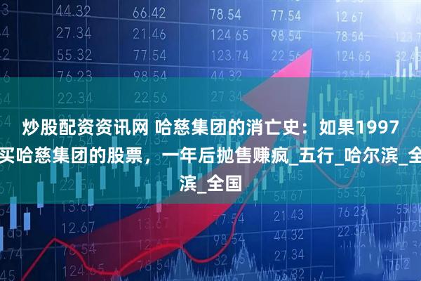 炒股配资资讯网 哈慈集团的消亡史：如果1997年买哈慈集团的股票，一年后抛售赚疯_五行_哈尔滨_全国